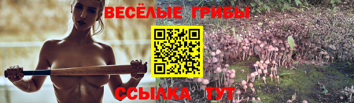 Псилоцибиновые грибы Magic Shrooms Россошь