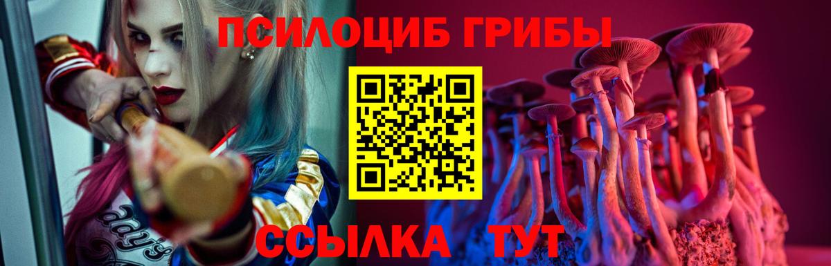 Россошь  Псилоцибиновые грибы мицелий  Вход с VPN 